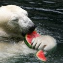 제주전자 이미지