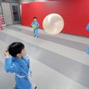 용인대 제일태권도 이미지