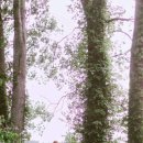 자연속의 휴식공간 이미지