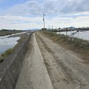 율포솔밭해변1 이미지