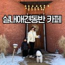 러스틱문 | 춘천애견동반카페 러스틱문 디저트 메뉴 및 방문 팁 3가지