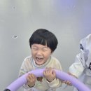 용인대 정무태권도장 이미지
