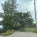 안심리 | [전남 화순] 광주 근교 독채펜션 감성숙소 자연의 미학 401호 이용후기