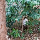 하늘빛소공원 이미지