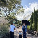 제주 휴애리 자연생활공원(2025. 10. 07) 이미지