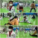 태권쏭(태권도장) 이미지