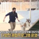 TBC 굿데이 프라이데이 방송영상 확인 이미지
