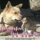 방방쓰 이미지