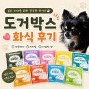 우리 아이들을 위한 건강한 한 끼, 도거박스 샘플팩 솔직 후기! 🐶