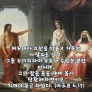 2026-08-29성 요한 세례자의 수난 기념일＜당장 세례자 요한의 머리를 쟁반에 담아 저에게 주시기를 바랍니다.＞ 이미지