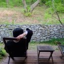 행복여관 | [춘천] 고냥이들이 반겨주는 감성가득 프라이빗 여관 '의림여관' 우실 후기