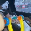 포레스트173
