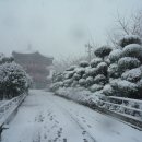 부산타워 이미지