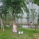 검단2지구2호어린이공원 이미지