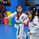 남부태권도장 이미지