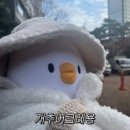 화인공예 | 여행 2박3일 코스 (스카이베이 경포호텔 오션뷰 후기, 동화가든 짬순 , 강릉 드라이브 코스, 배니닭강정)