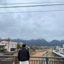 토토로 라멘 이미지