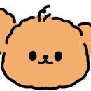 그루밍애견미용 이미지