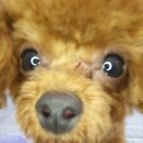 네일아트2410