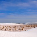 미국 White Sands 국립공원1 이미지
