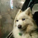 프릿토핏 이미지