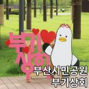 비비상회 이미지
