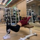 맹그로브 짐 이미지