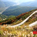 천문대길 이미지