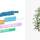 화동한의원 이미지