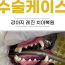 철원동물병원 이미지