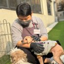 강호환경자원 | 경기·인천 유기견 봉사 어디서 해야 할까? 직접 다녀온 보호소 3곳 총정리 ② (반려마루·포캣멍센터...