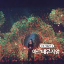 2020-652 | [강릉 가볼만한곳] 강릉 아르떼 뮤지엄 전시관 꿀팁부터 카페 입장료 주차 안내까지