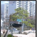 고양농장 이미지