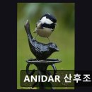 ANIDAR 산후조리원 네이버블로그