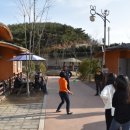 힐링족