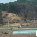 일신목장 이미지