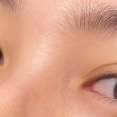 동강대자연 이미지