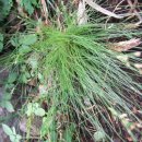 하늘지기 이미지