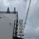 하모이삼로 | 제주 서귀포 로컬맛집 산방식당 밀면, 비빔밀냉면, 수육 다 먹고 온 솔직후기