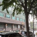 패스웨이(주) | 용산 맛집 웨이 티하우스 앤 레스토랑 음식 싹쓸이 후기