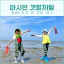 마시안어촌체험휴양마을 | 영종도 마시안 갯벌체험장 서해 물때 주차