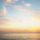 짜장면박물관 이미지