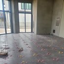 군산 쥬쥬 어린이 서점 이미지