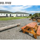 제주에서돌고래를만난다면