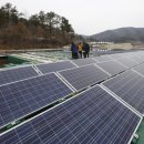 영동에너지태양광발전소 이미지