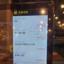 선사애견 | 오이도 애견동반 식당 추천 꽃게새우 맛집 푸짐했던 꽃게탕 후기