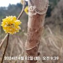 이름 아시는분 이미지