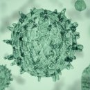 신장고등학교 이미지