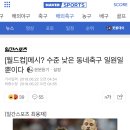 최용재 기자: 메시? 수준 낮은 동네축구 일원일 뿐이다 이미지