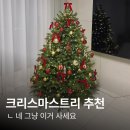 그레이스빌화학노동조합 | 2025년형 봉데코 트리 24평 1.5m 내돈내산 설치후기